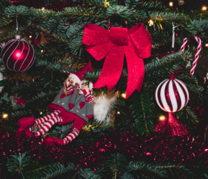 Affordable Christmas Trees for Your Home